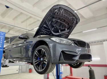 Работы glushnik.com.ua #25