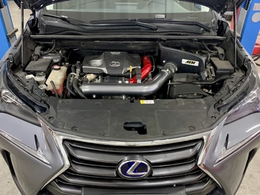 Работы glushnik.com.ua #86