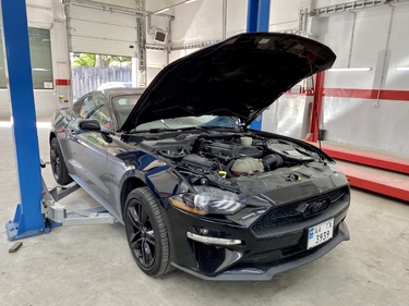 Работы glushnik.com.ua #75