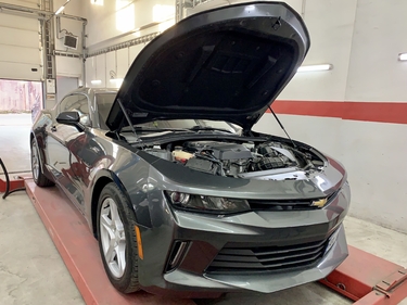 Работы glushnik.com.ua #36